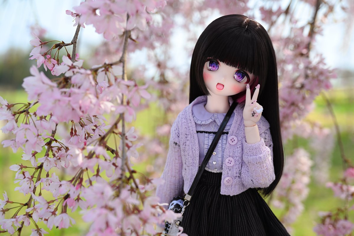 🇯🇵とわ🇯🇵 tweet media