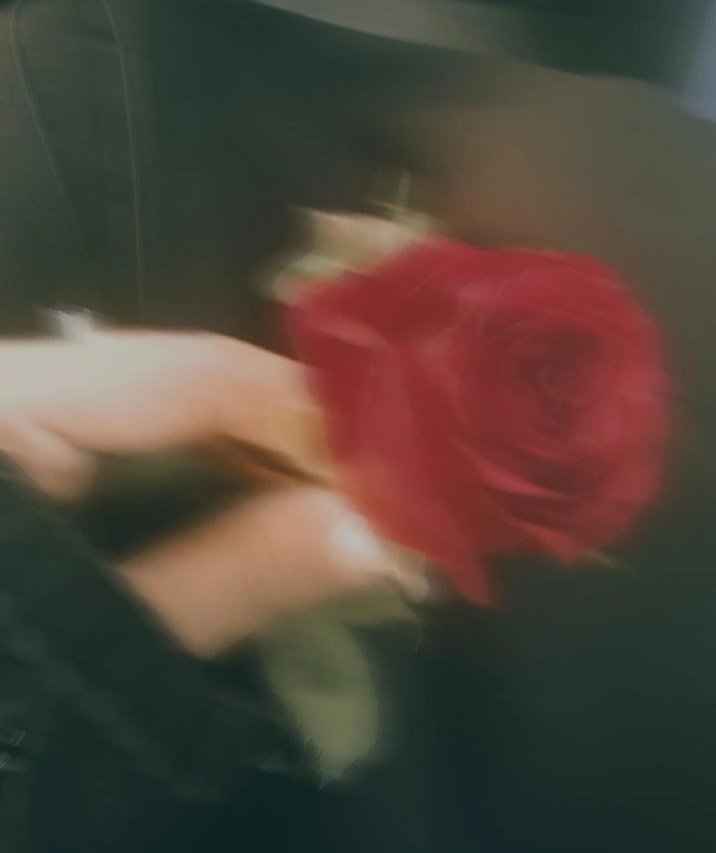 نفیسہ🇵🇸 tweet media