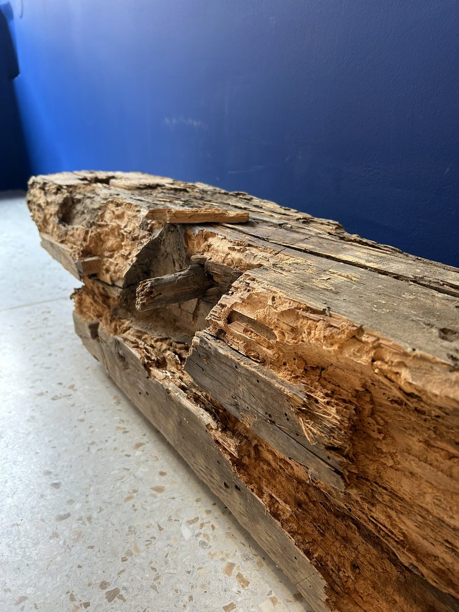 Leoš Verner tweet media