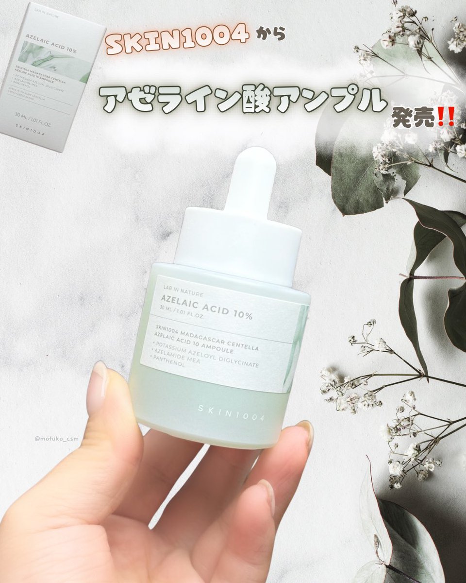 もふ子🦔よわよわ肌代表 tweet media