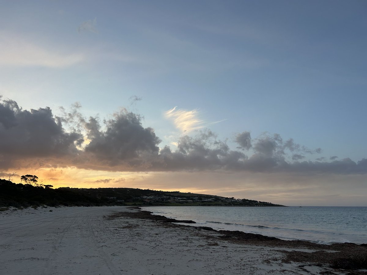 Seed Terminator tweet media