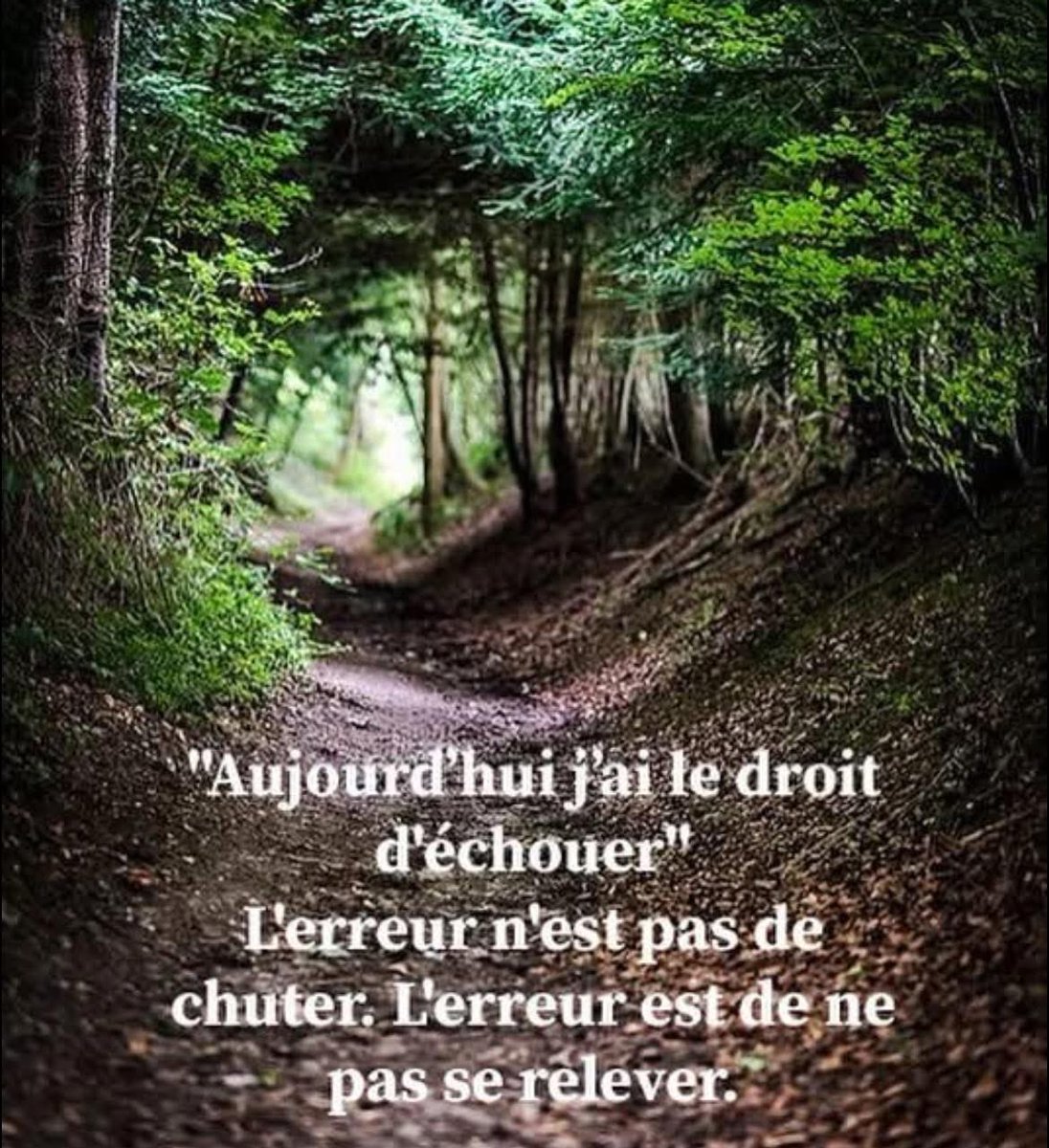 Chantal M. tweet media