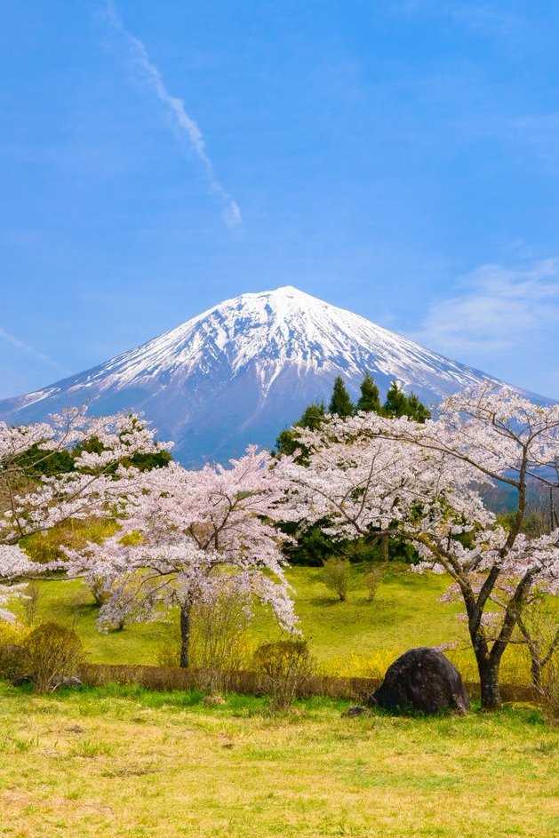 Japonya Büyükelçiliği ‖ 在トルコ日本国大使館 tweet media