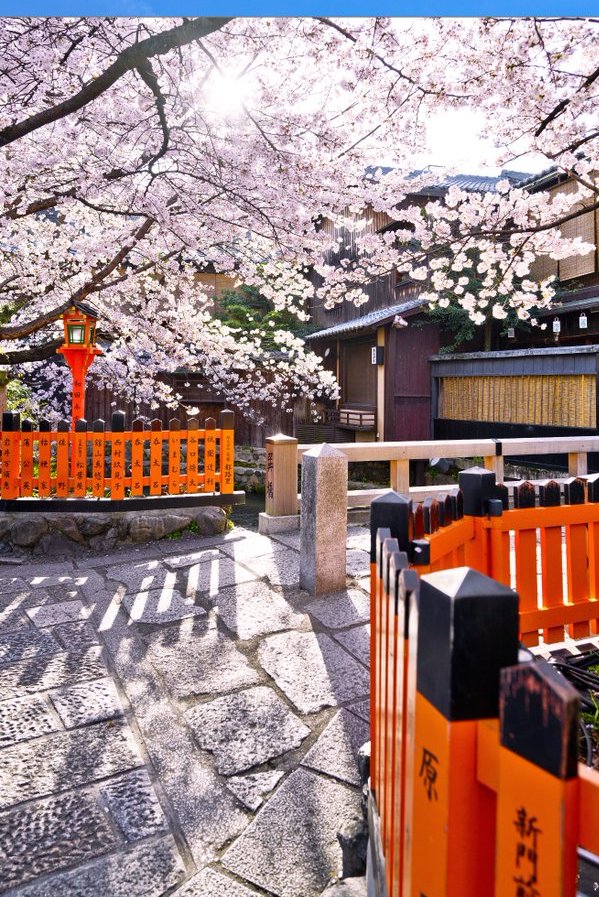 Japonya Büyükelçiliği ‖ 在トルコ日本国大使館 tweet media