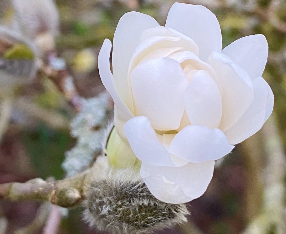 edita hangonyiova tweet media