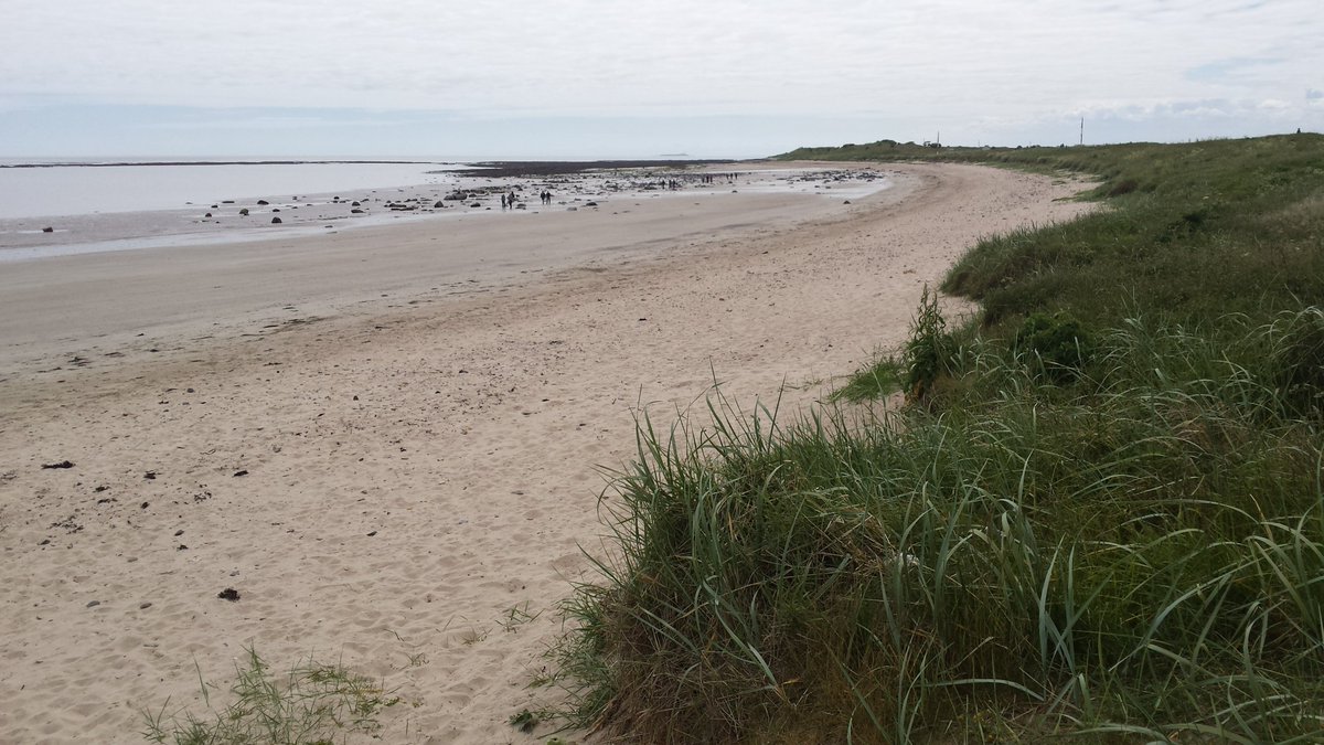 manonabeach tweet media