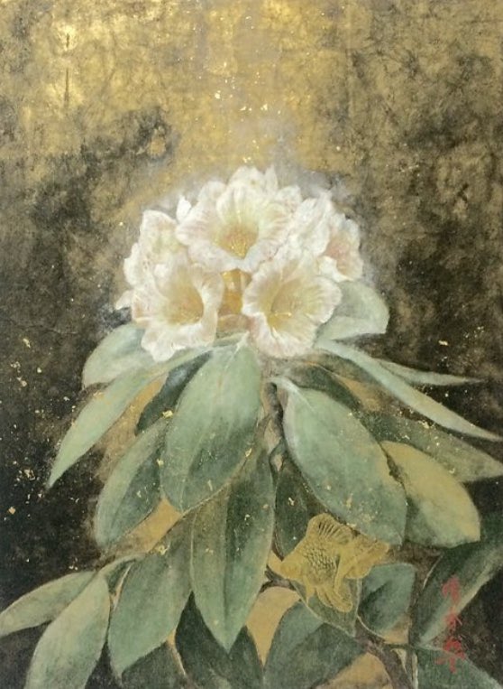 日本画 尾身晴香 tweet media