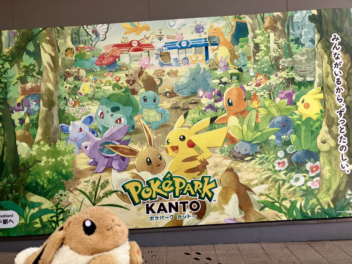 癒羽(ゆう)🌟 tweet media