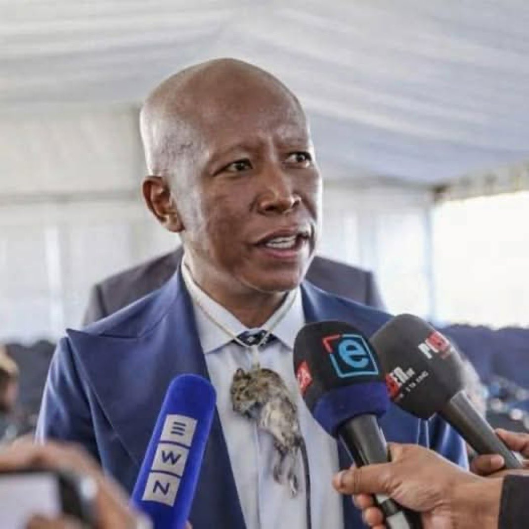 Il Scungilli tweet media