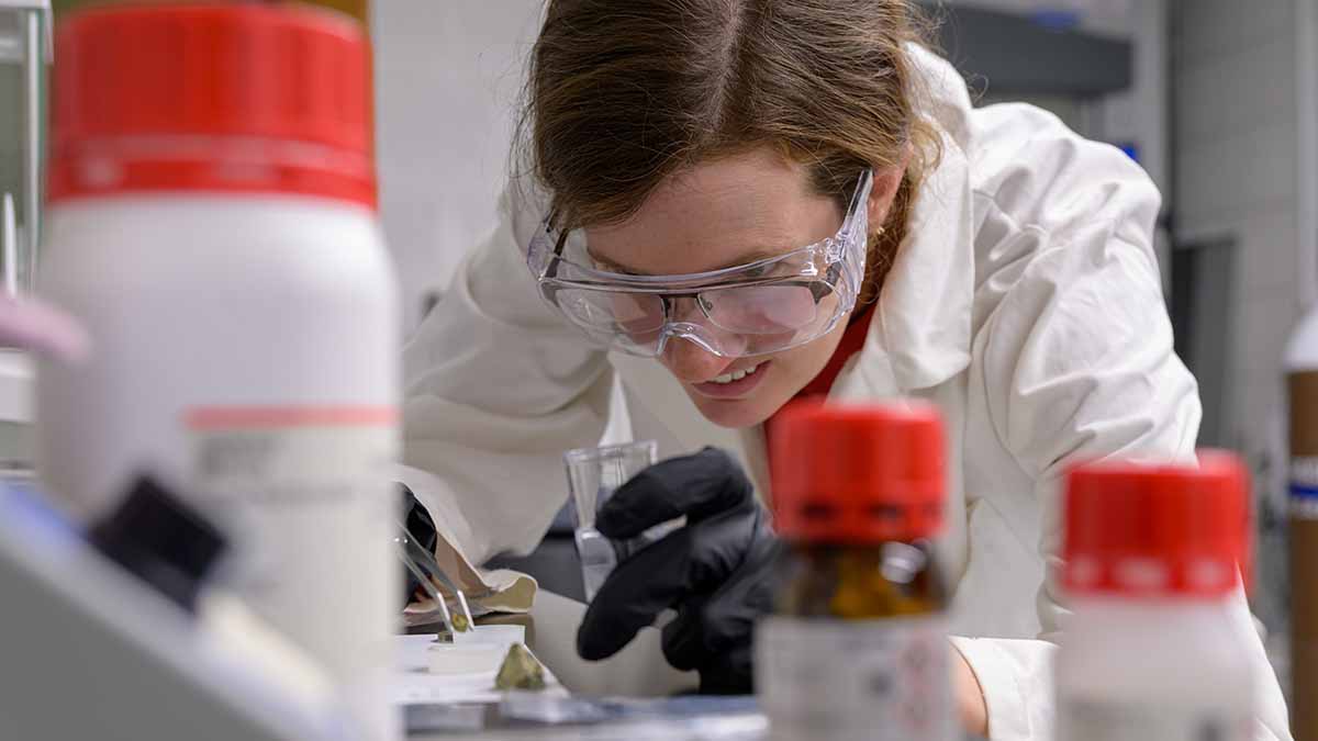 University of Arizona Research tweet media