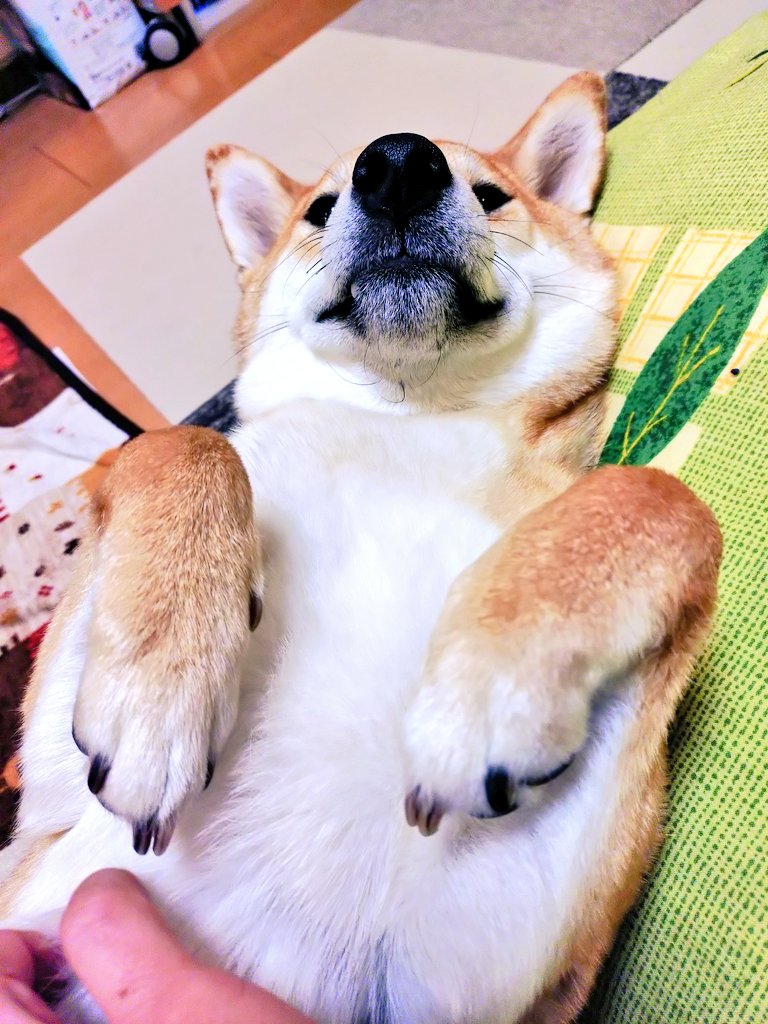 タカヒコ tweet media