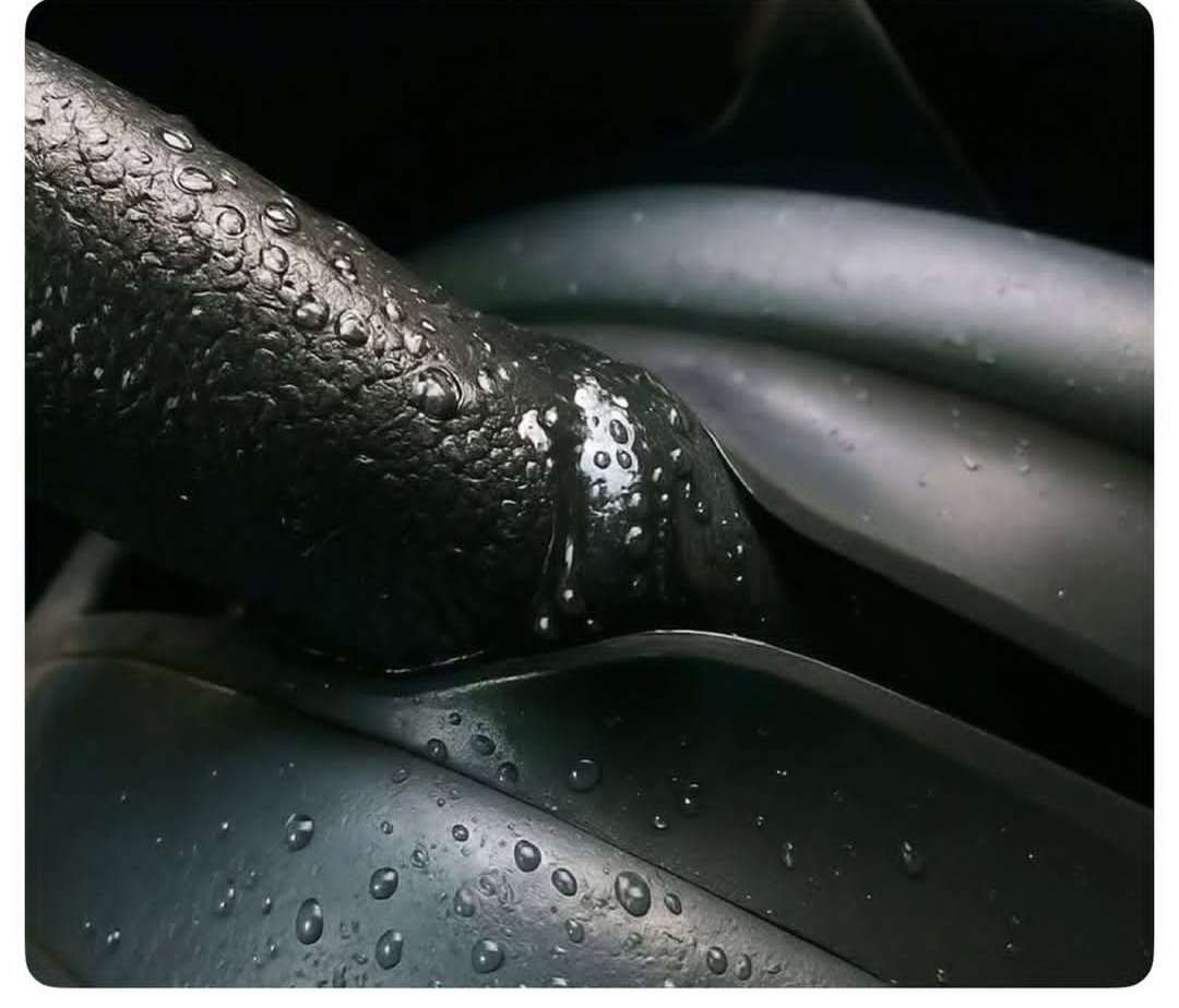 عواطف tweet media