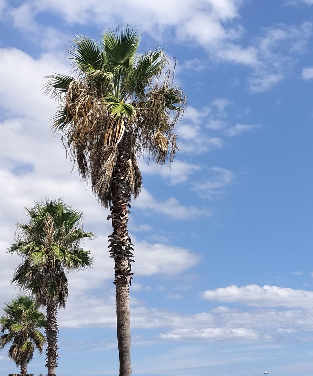 東山📸 tweet media