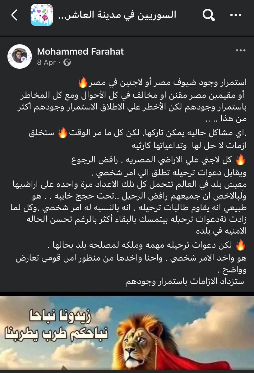 Nour Adam 🇪🇬 tweet media