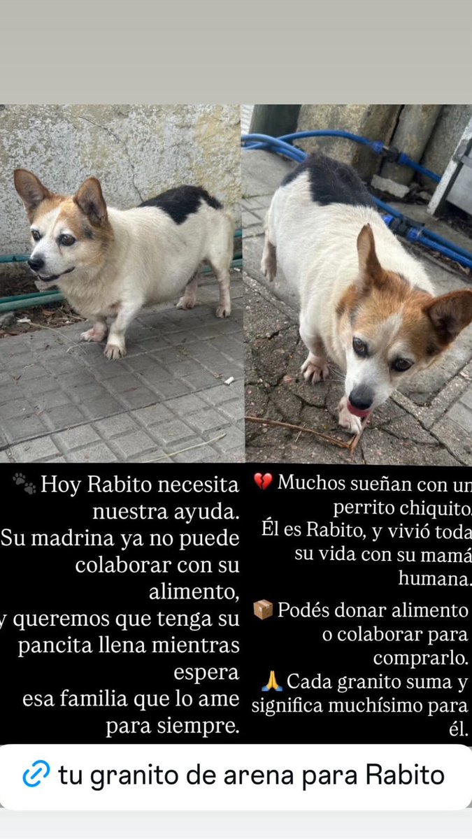 redbicheraoficialuruguay tweet media