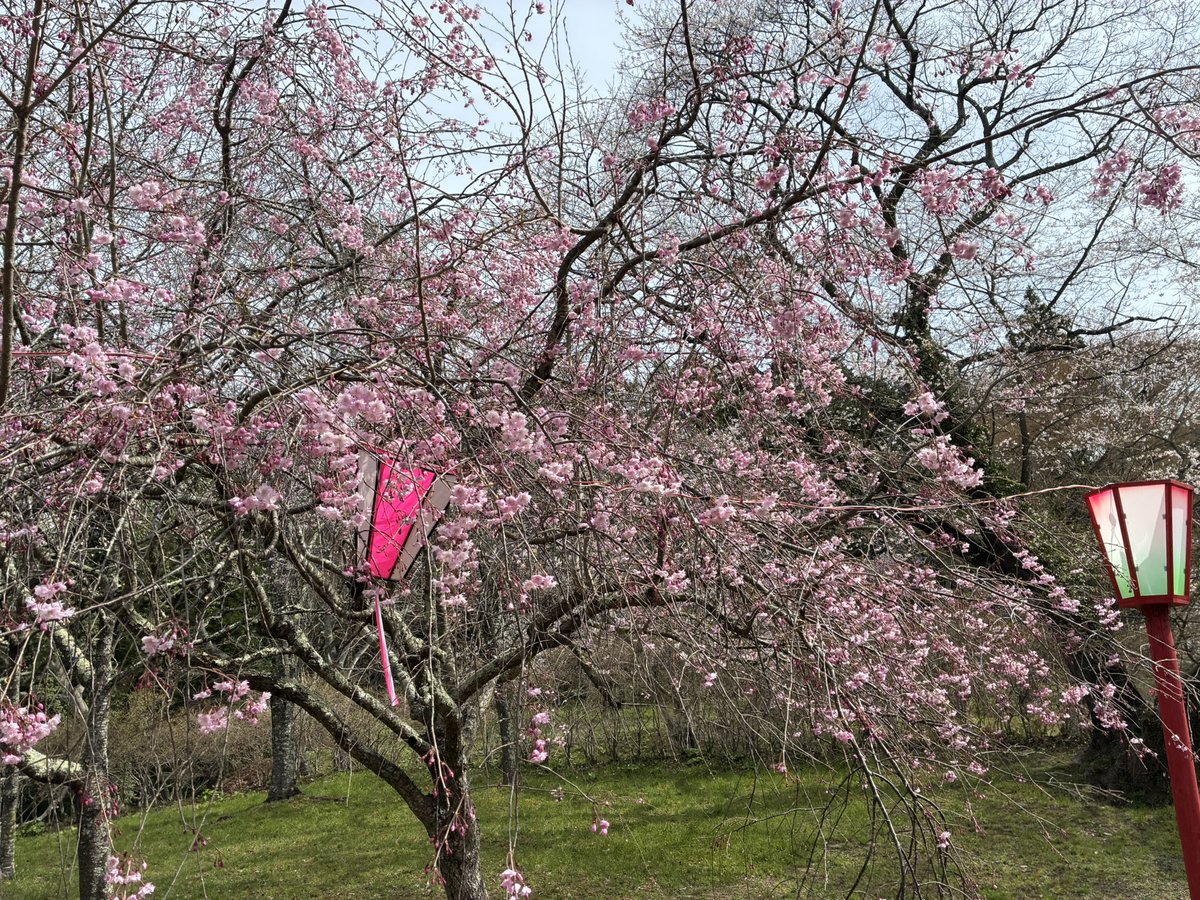 🍡ツカ🍡 tweet media