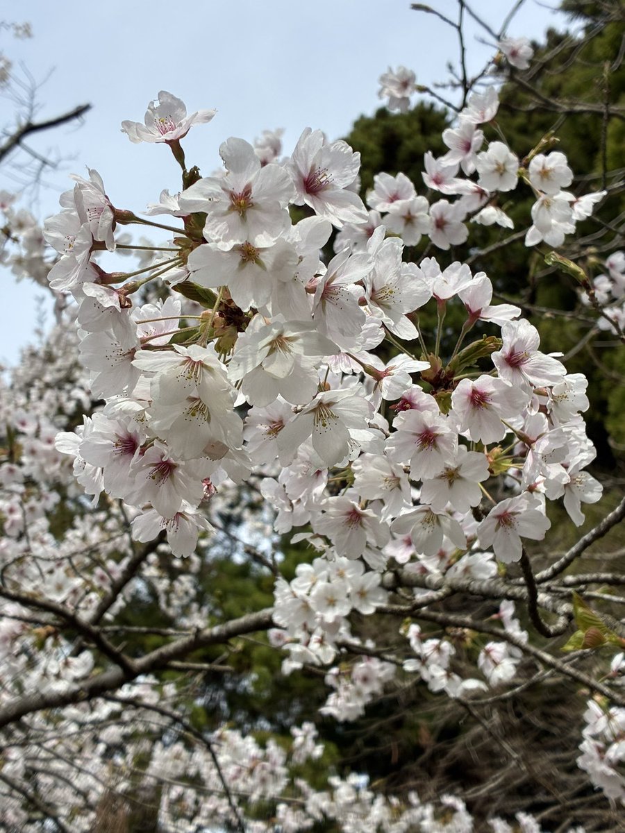 🍡ツカ🍡 tweet media