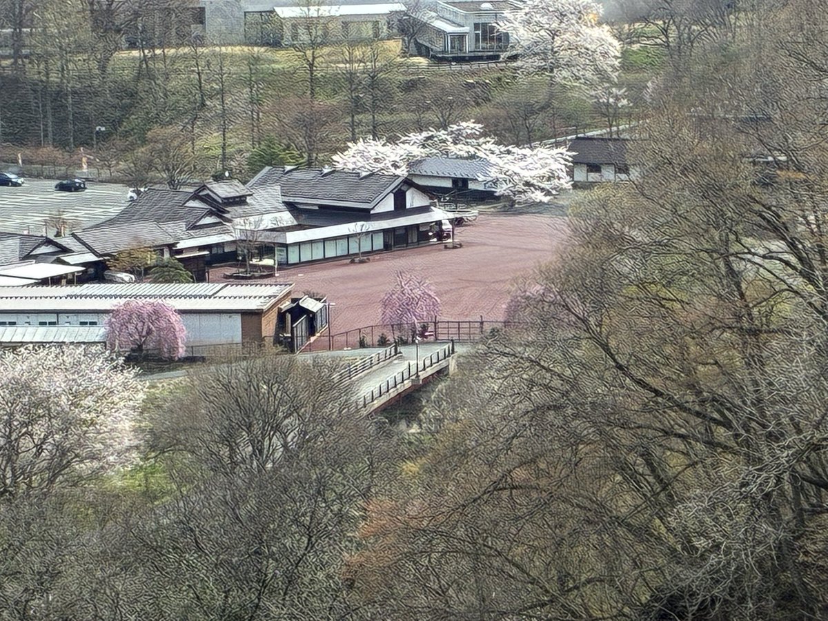 🍡ツカ🍡 tweet media