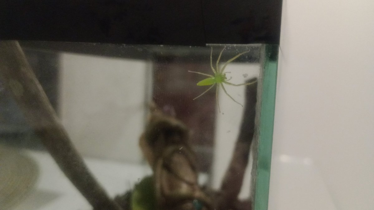 zack'besouros⋆˚꩜｡ tweet media