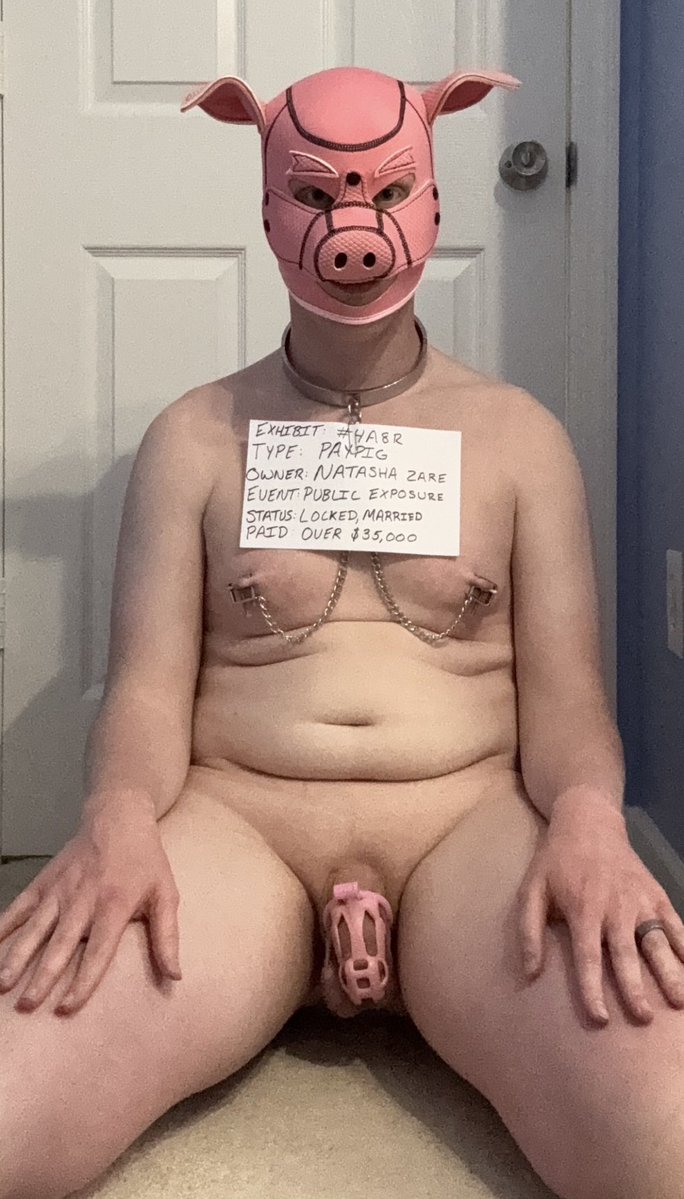 Piggy Bank with no Escape tweet media