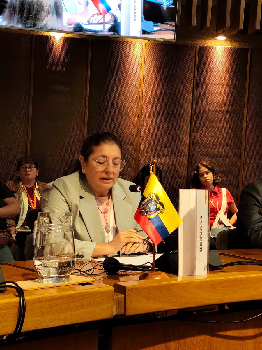 Embajada del Ecuador en Chile tweet media