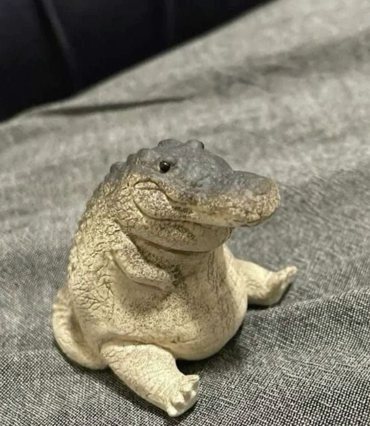 𝄂 𝗠𝗥 . 𝗝𝗢𝗡𝗘𝗦 ━━ 🐊 tweet media