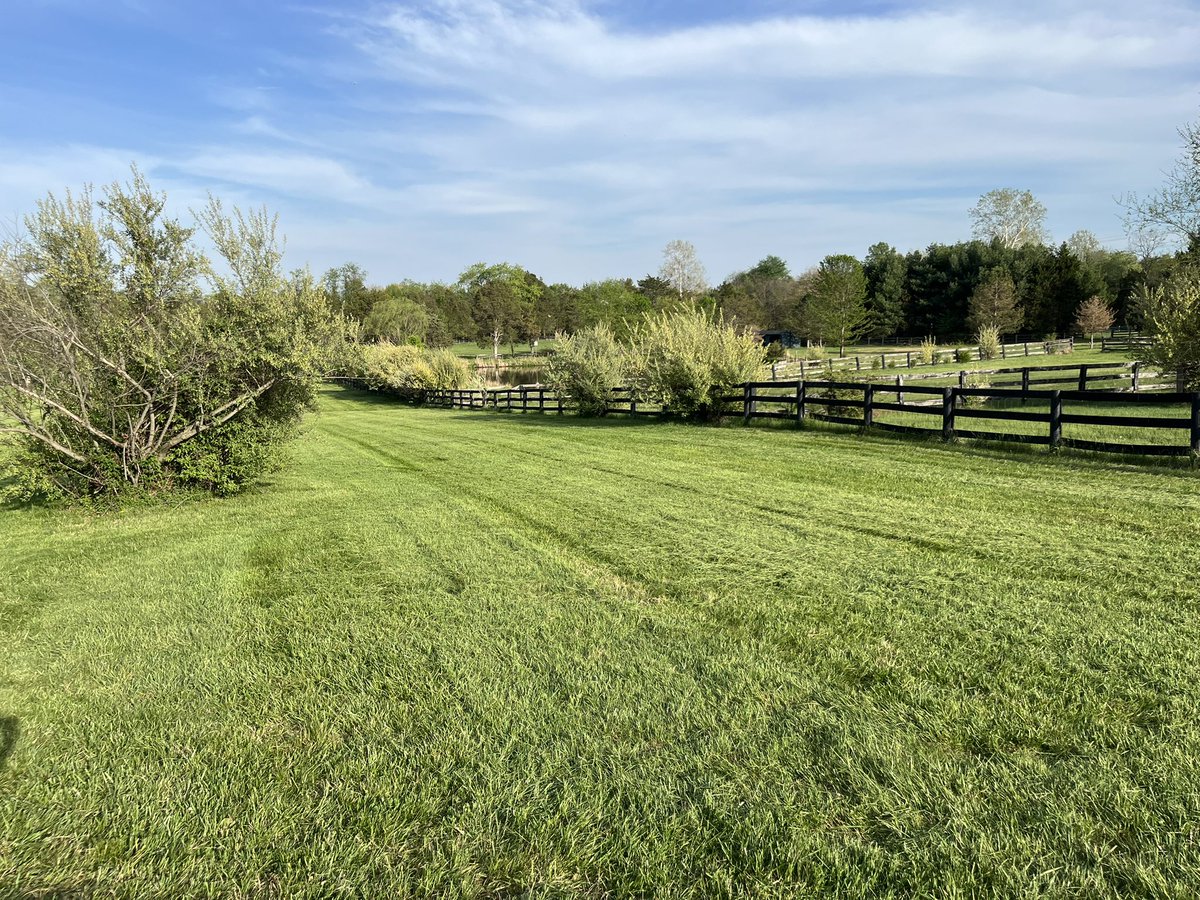 BrianDunbar tweet media