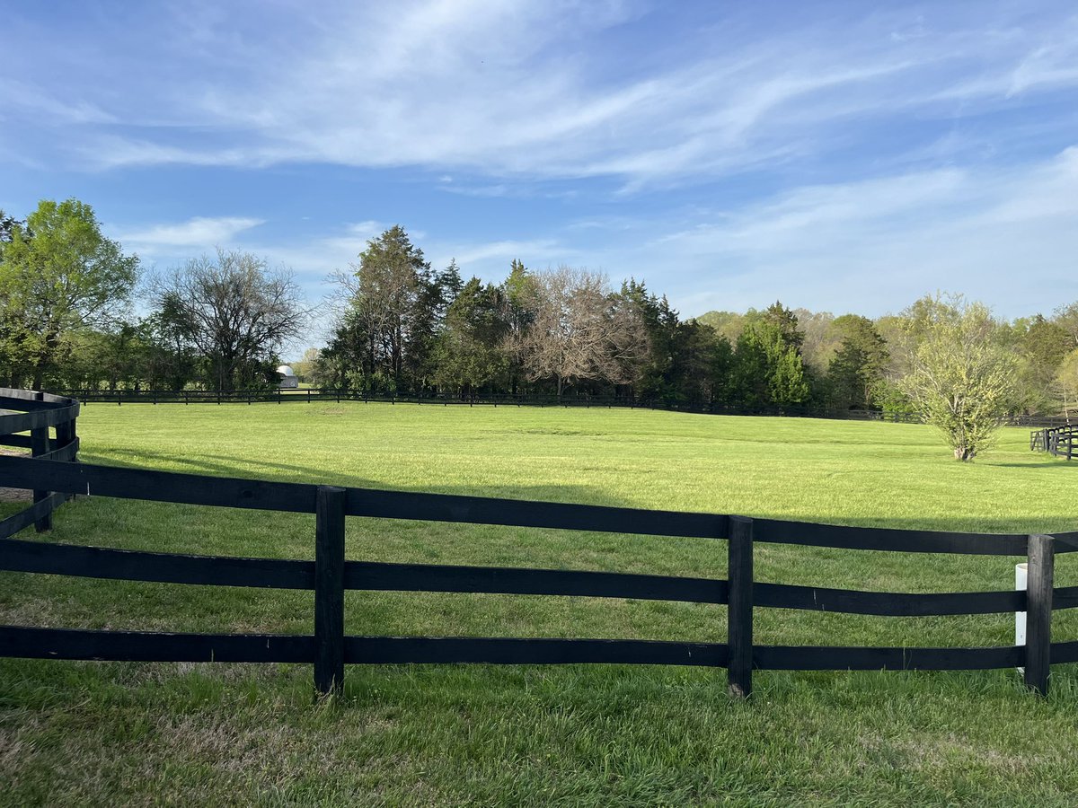 BrianDunbar tweet media