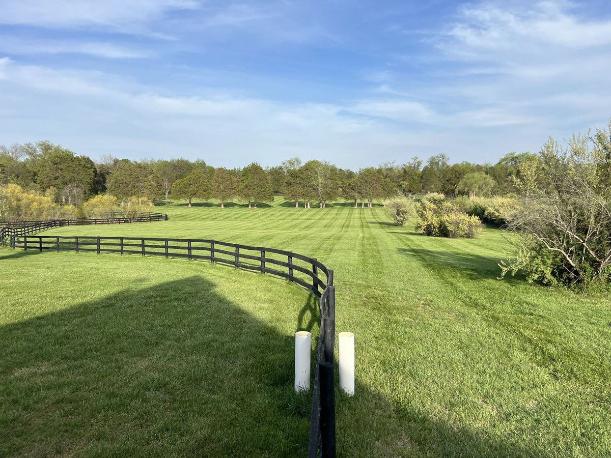 BrianDunbar tweet media