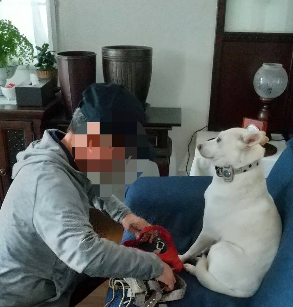 白と黒のいぬ tweet media