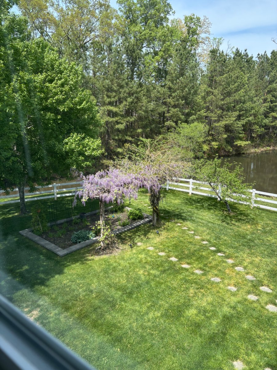 Ali Holcomb tweet media