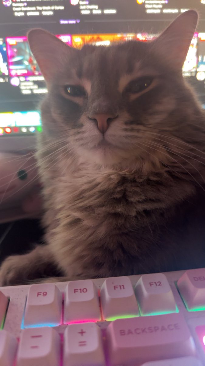 Gemini ꨄ︎ tweet media