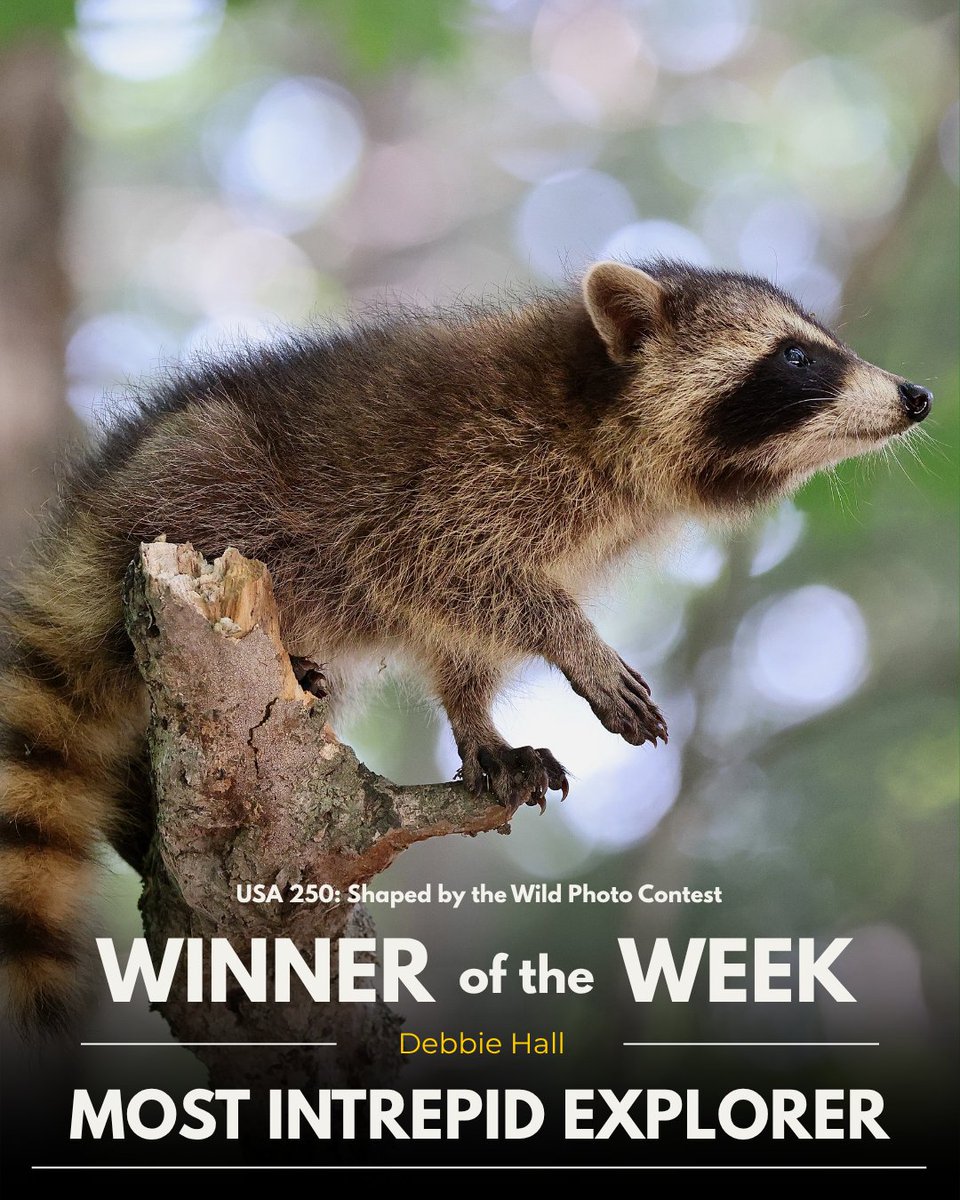 Defenders of Wildlife tweet media