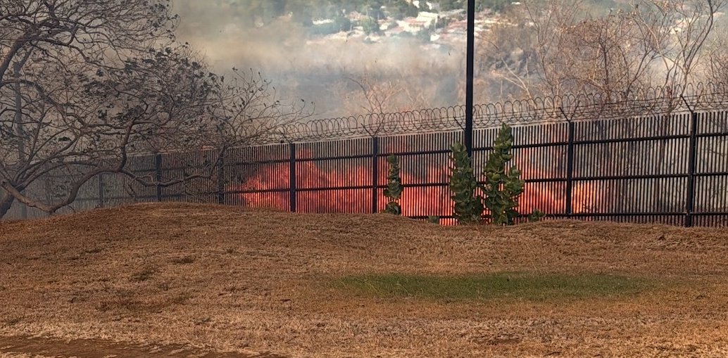 Chargé d'Affaires Elias Baumann tweet media