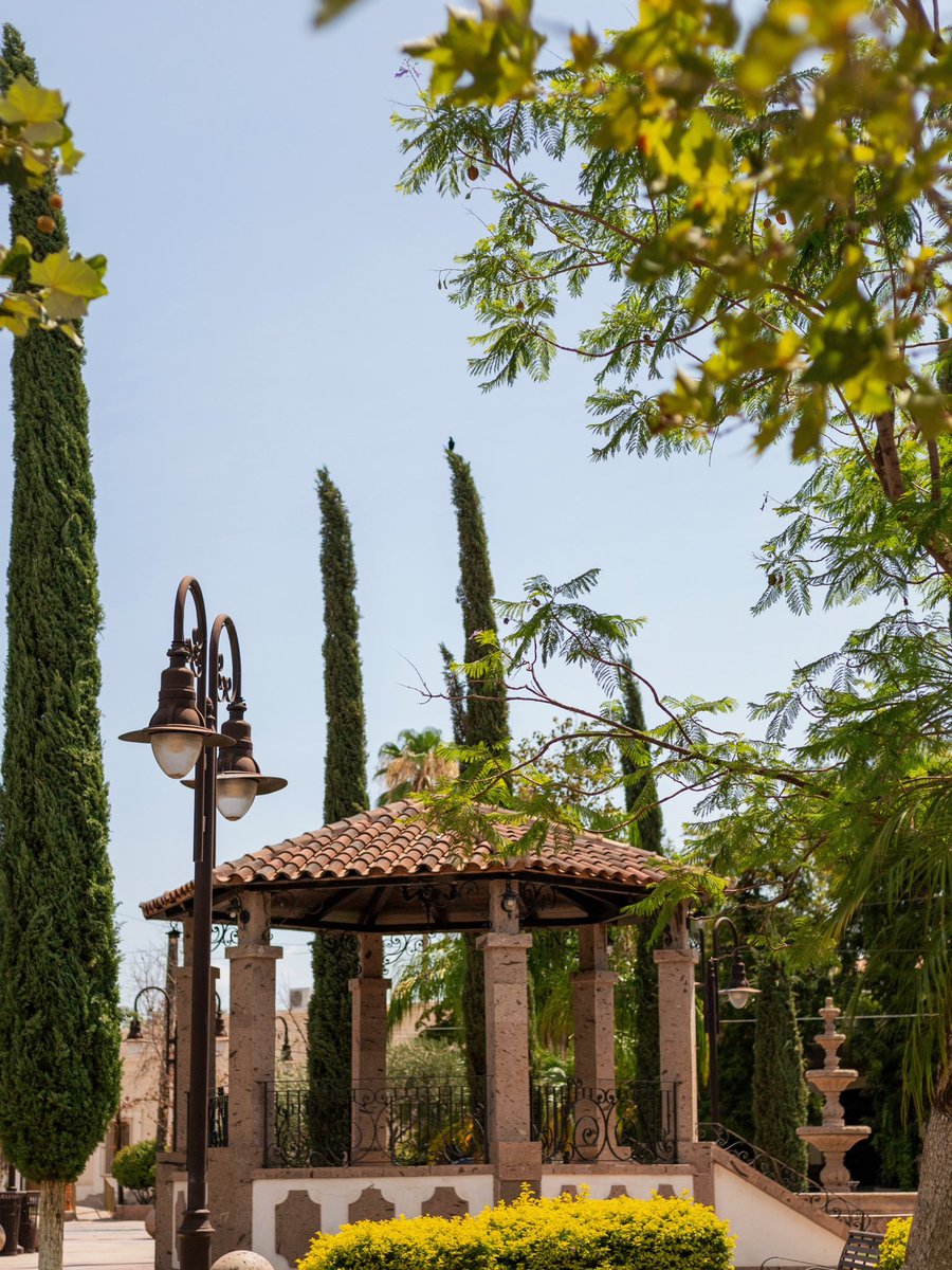 Nueva Alianza Sonora Mx. tweet media