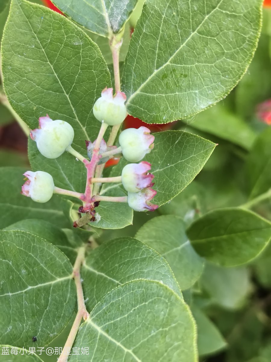 Prakhar Raghuvanshi tweet media