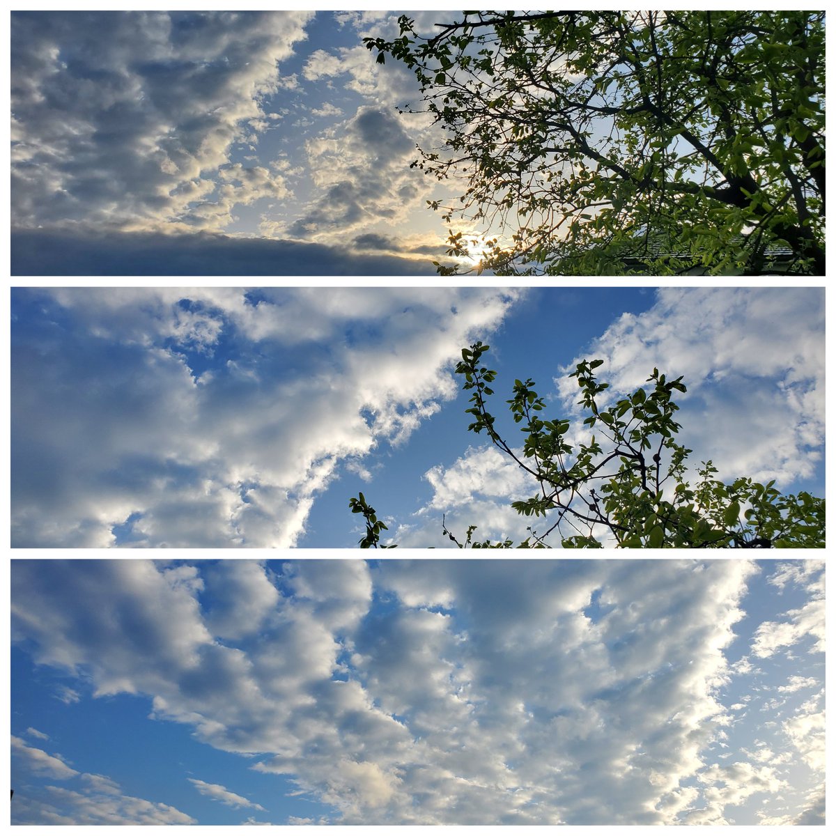 R4XNUDnQe0tup7E's tweet image. おはようございます！
#朝ラン🏃‍♂️時の #空🌅です！🌟
只今の気温は17℃！
今日も身近な大切な人を守るため、必要な感染防止😷を！🌟
#EW  への #感謝🧡と #エール👏を忘れず、体調に留意して今日も良い1日を！🌟

#イマソラ #空のある風景 #朝陽 
#朝焼け #朝活 #ラン #ランニング