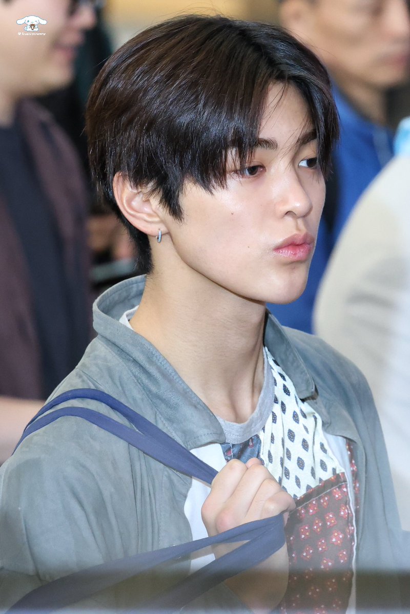 🐰🐶 tweet media