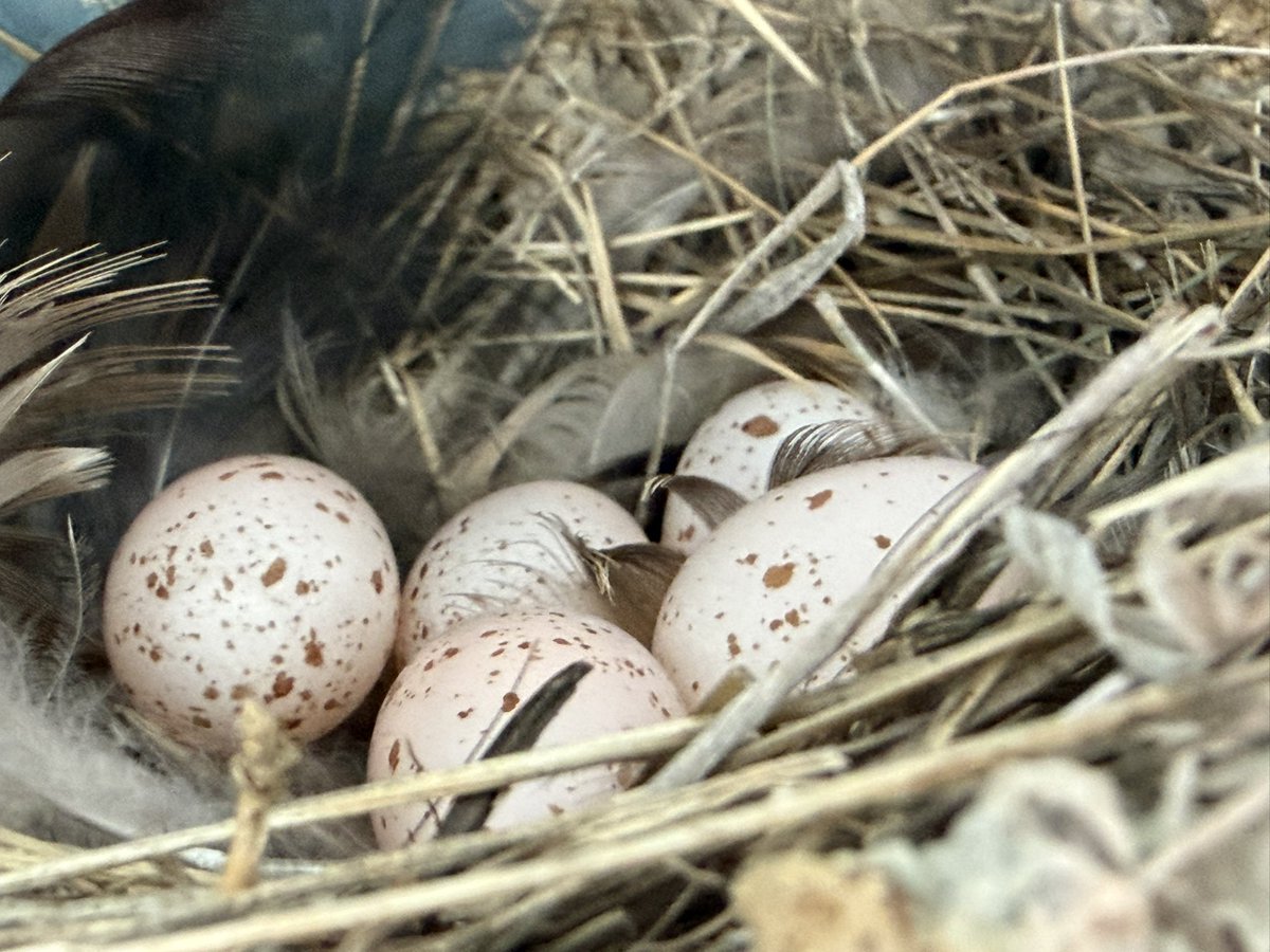 赤い炊飯⭐️ジャー（プロカメラマンの日常や仕事など色々なキキフォトワークス） tweet media