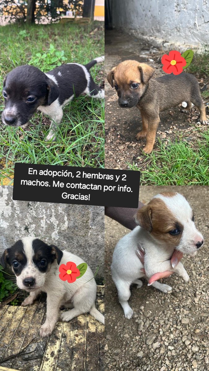 LaNegraCV.🇺🇾🌱✊🏽 tweet media