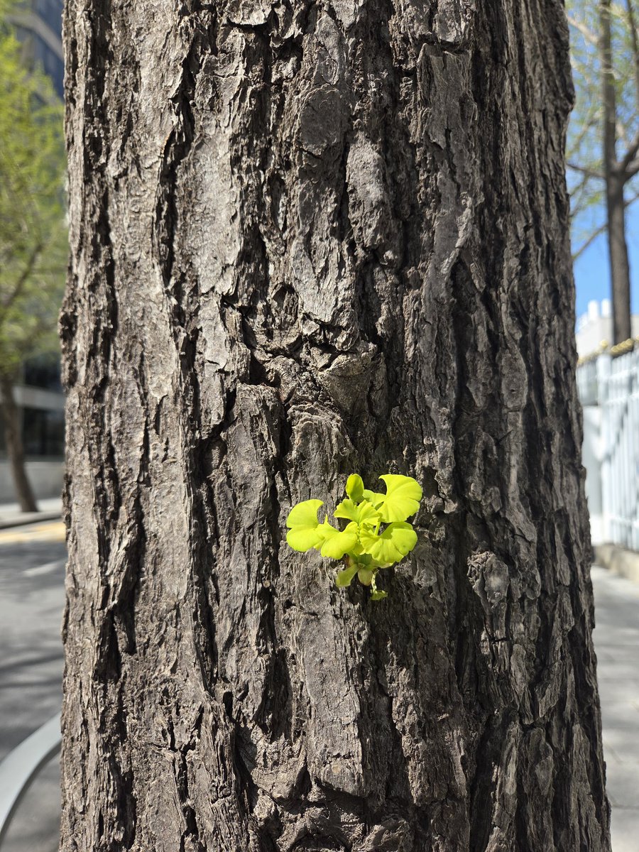 방구석 tweet media