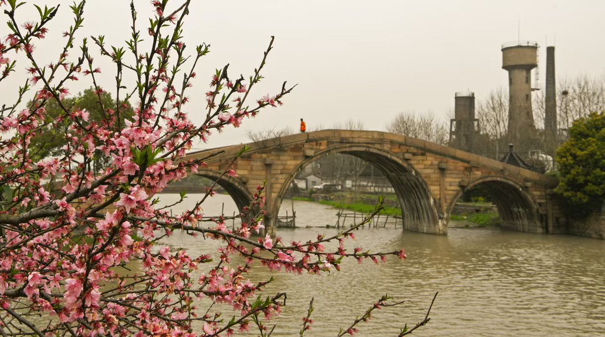 凌起点 tweet media