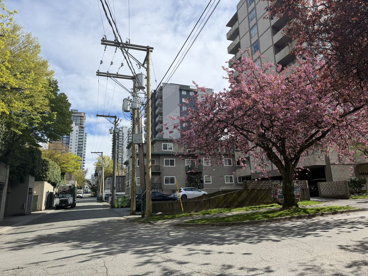 Syntheticus Humanitus tweet media