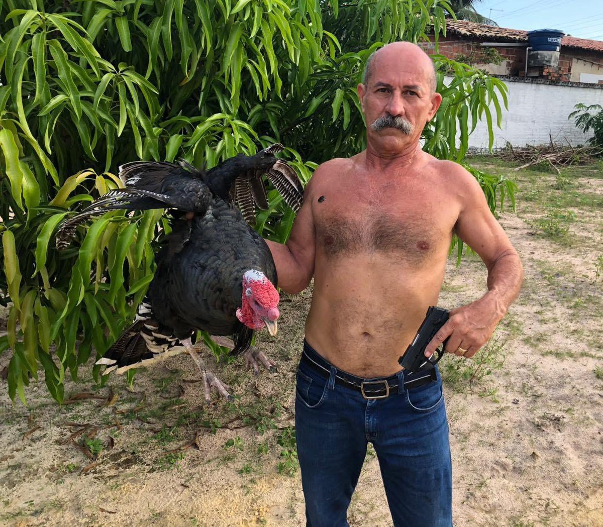 Evandro do Povo tweet media