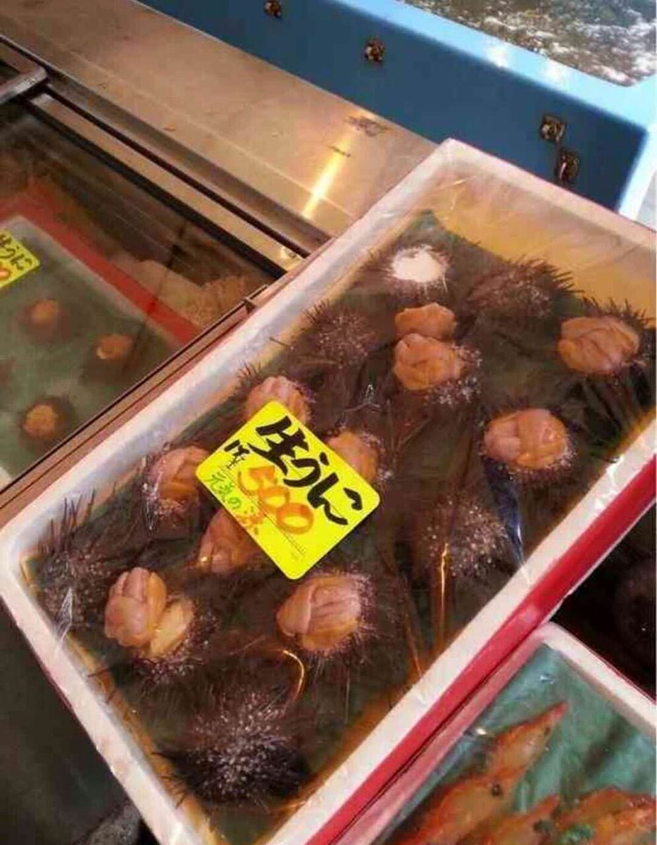 ファ楽器 tweet media