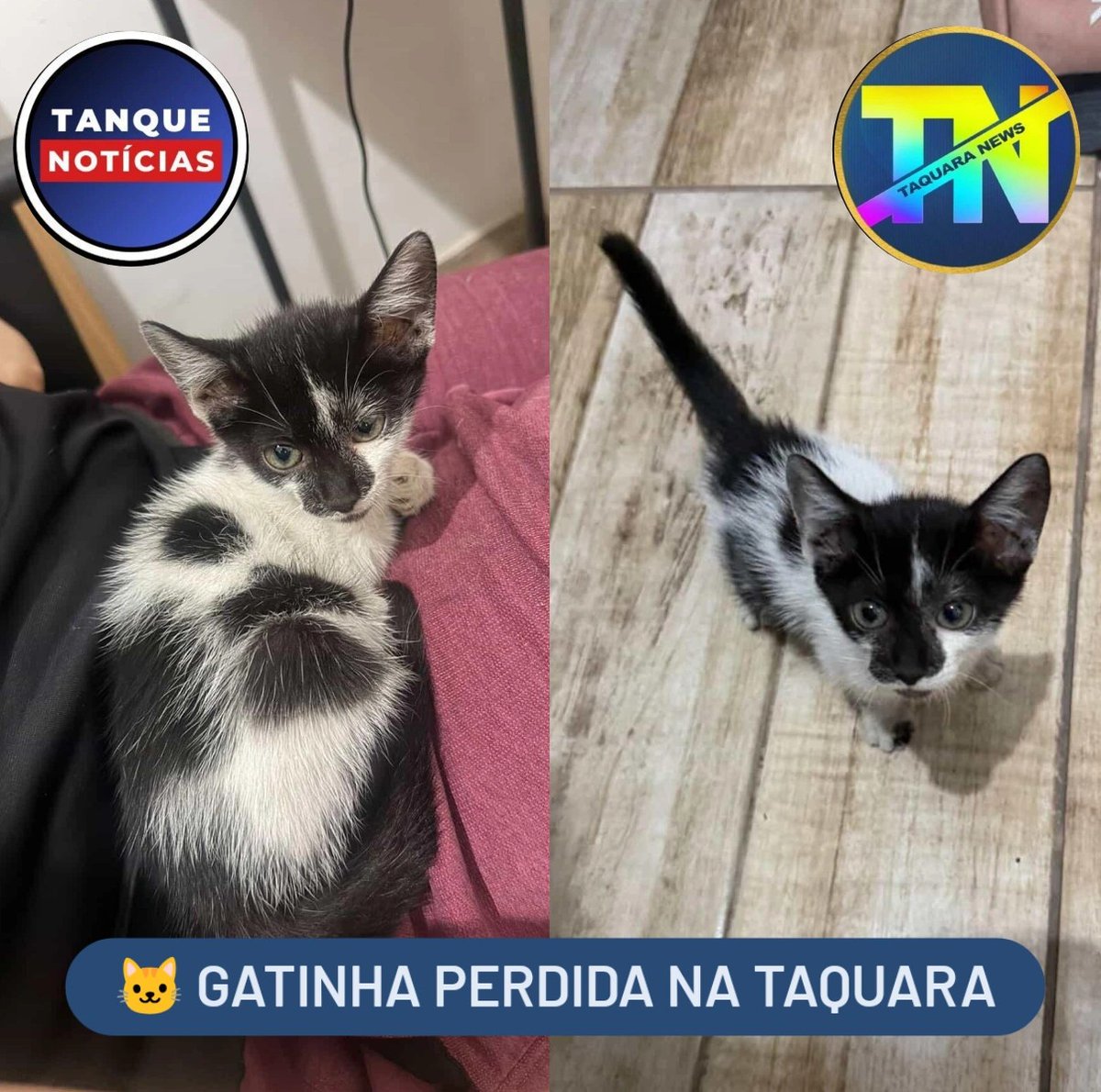 Taquara News tweet media