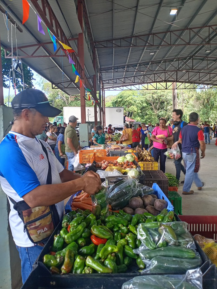Instituto de Mercadeo Agropecuario tweet media