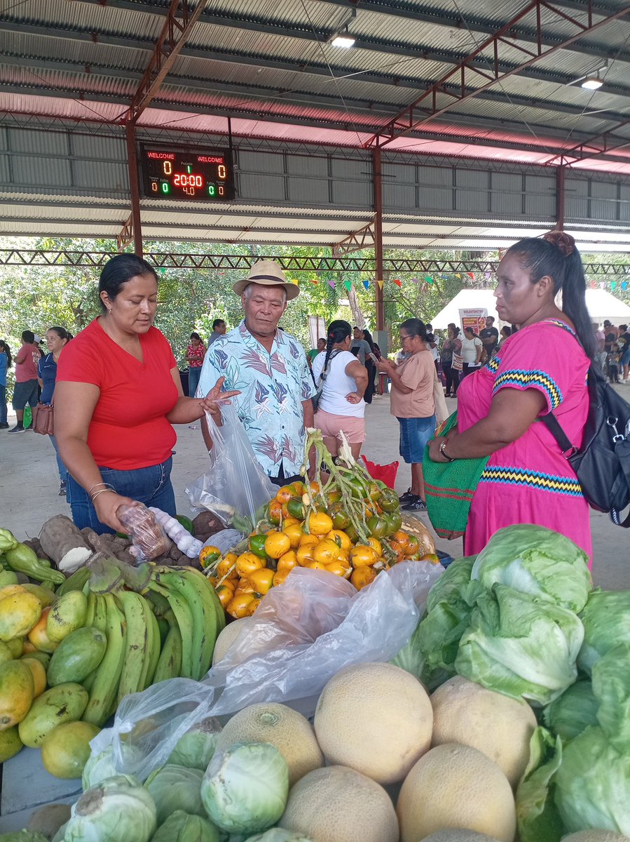 Instituto de Mercadeo Agropecuario tweet media