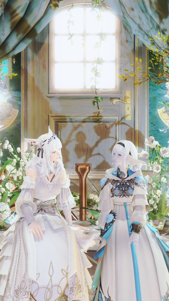 アイヴィー tweet media