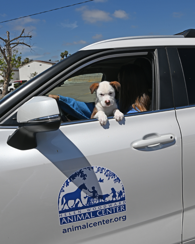 Helen Woodward Animal Center tweet media